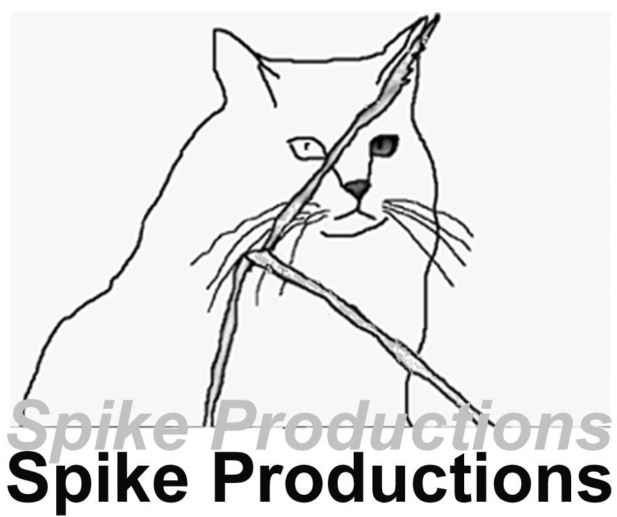 Spike Productions | Affordable Excellence in Digital Multimedia